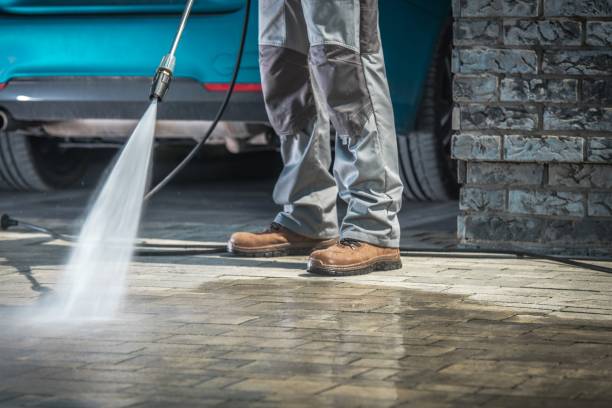 Best Soft Washing  in Pajaro, CA