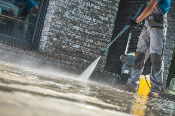 Best Roof Washing  in Pajaro, CA